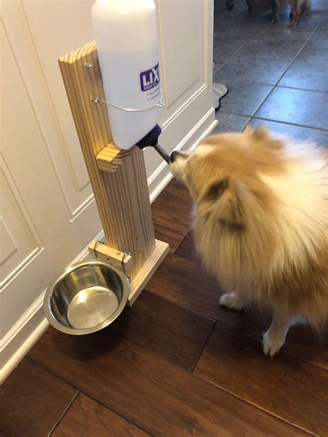 pet water bottle stand